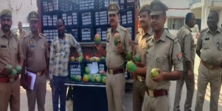 पकड़े गए आम के साथ बहराइच पुलिस  टीम