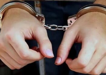 चेन्नई में तस्करी कर लाए गए विदेशी पशु , दो  गिरफ्तार