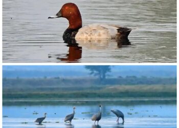 बाराबंकी में पहली बार जैव विविधता पर दो दिवसीय फ़ोटो प्रदर्शनी का आयोजन