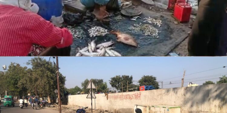 लखनऊ-सीतापुर हाईवे किनारे ताड़ीखाना में मछली मंडी हटने व पूर्व में लगने की तस्वीरें