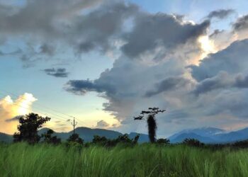 झारखंड में भीड़ के हाथों मारे गए दो माओवादी, शवों की तलाश में जुटी पुलिस