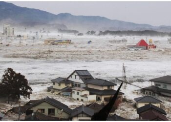 वानौ तट पर 7.3 तीव्रता के भूकंप के बाद सुनामी की चेतावनी