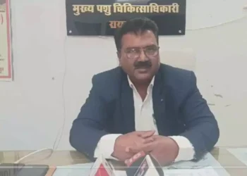 ‘गोवंशों की तस्करी और भूसा खरीद टेंडर में गड़बड़ी कर सरकारी धन की बंदरबांट’