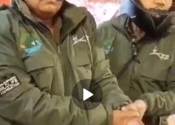 बारात में दावत उड़ाने पहुंचा तेंदुआ, दूल्हा-दुल्हन समेत सभी बराती जान बचाकर भागे