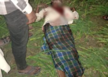 बकरी चराने गए बुजुर्ग की हत्या, खून से लथपथ शव मिलने से सनसनी