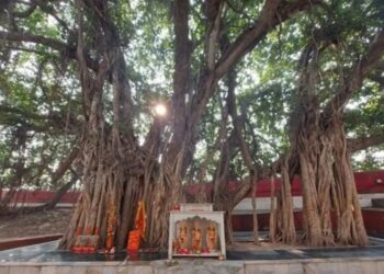 143 देशों तक पहुंचे पवित्र अक्षयवट के पत्ते, कलश में पहुंचा संगम का जल