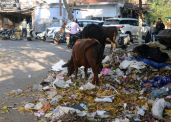 दागी कंपनी को फिर मिली सफाई का काम, निगम अधिकारियों की लापरवाही पर सवाल