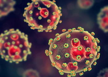 नाइजीरिया में लासा बुखार का कहर, 127 पहुंची मृतकों की संख्या