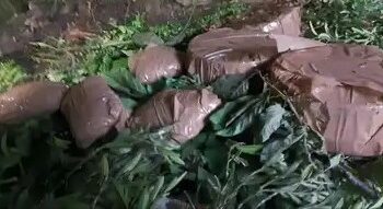 जम्मू-कश्मीर में आतंकियों की बड़ी साजिश नाकाम, जेलों पर आतंकी हमले का अलर्ट