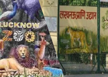आज से खुलेगा चिड़ियाघर और लायन सफारी, बर्ड अलर्ट के चलते 14 दिनों से था बंद 