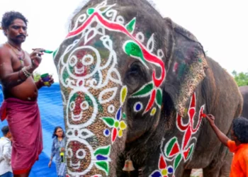 जगन्नाथ रथयात्रा में हाथी बेकाबू, अहमदाबाद में मच गई अफरा-तफरी