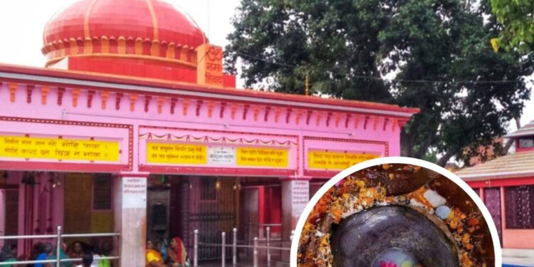 श्री सिद्धेश्वर महादेव धाम