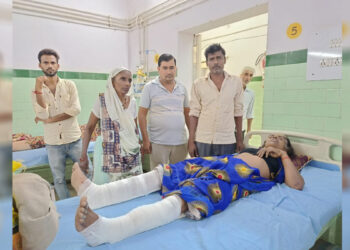 बंदरों के झुंड ने महिला को छत से दिया धक्का, खाली प्लाट में गिरने से घायल