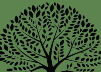 सभी ग्रह-नक्षत्र के अलग-अलग होते है पेड़-पौधे, इन्हें लगाने से घर में आती है सुख-समृद्धि और शांति