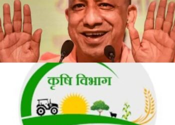 श्रीअन्न बाजरे को बढ़ावा दे रही योगी सरकार, कम वर्षा वाले क्षेत्रों में भी मिल रहा किसानों को लाभ