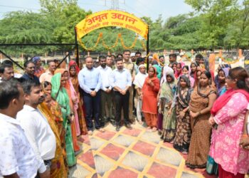 हरियाली का उत्सव: मियावाकी पद्धति से रोपे गए 265000 हज़ार पौधे