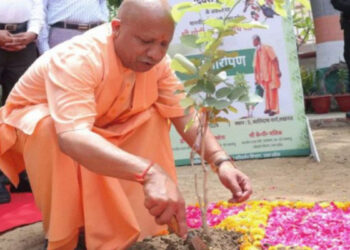 यूपी में पर्यावरण संरक्षण का कीर्तिमान, एक पेड़ मां के नाम अभियान के तहत एक दिन में 37 करोड़ पौधारोपण का लक्ष्य