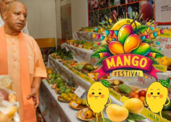 सीएम योगी कल करेंगे आम महोत्सव की शुरुआत