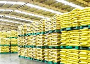 बाराबंकी में उर्वरक घोटाला! खाद विक्रेता पर कालाबाजारी का आरोप