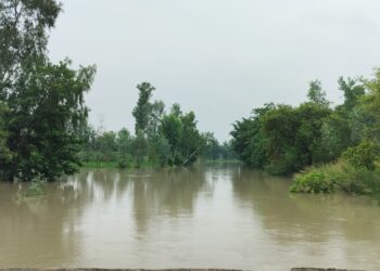 बढ़ता जलस्तर, डूबते गांव: सरयू नदी ने लिया रौद्र रूप
