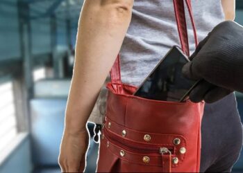 अमरनाथ एक्सप्रेस में मोबाइल और लखनऊ वीकली एक्सप्रेस में पर्स चोरी