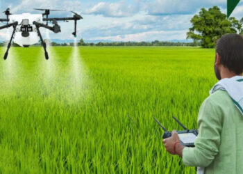 गन्ने को कीटों से बचाने को ड्रोन से होगा कीटनाशक का छिड़काव