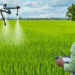 गन्ने को कीटों से बचाने को ड्रोन से होगा कीटनाशक का छिड़काव