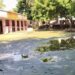 शाहमोहद्दीनपुर प्राथमिक विद्यालय जलमग्न, पढ़ाई बाधित