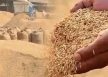 एमएसपी पर खरीदारी के लिए 1.37 लाख किसानों ने कराया पंजीकरण