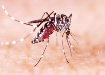 मौसम बदलते ही बढ़े वायरल बुखार के मरीज, डेंगू-मलेरिया ने भी दी दस्तक