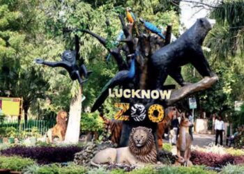 लखनऊ चिड़ियाघर मनाएगा अपना 104वां जन्मदिन, कटेगा केक और बटेंगे गिफ्ट