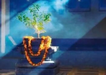 तुलसी पूजन दिवस आज, सनातन हिन्दू धर्म में तुलसी का शास्त्रीय, आध्यात्मिक एवं सांस्कृतिक महत्व