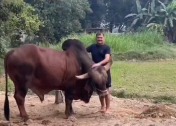 गौसेवा कर सौ रुपए से शुरू किया व्यापार, आज 200 करोड़ के मालिक