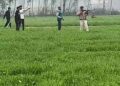 गेहूं के खेत में पॉलिथीन में मिला महिला का कटा हुआ हाथ और पैर, मचा हड़कंप