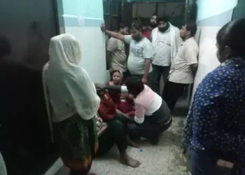 सीतापुर के सिधौली कस्बे में पेड़ गिरने से महिला की मौत:दो अन्य महिलाएं घायल