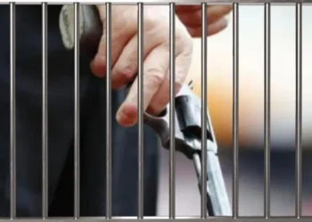 रील का शौक पड़ा भारी: इंस्टाग्राम पर तमंचे के साथ फोटो डालना युवक को ले गया हवालात