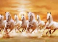 सात दौड़ते घोड़ों की तस्वीर मानी जाती है समृद्धि, सकारात्मक ऊर्जा और प्रगति का प्रतीक