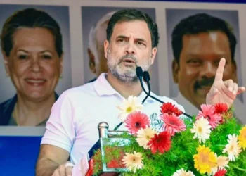 राहुल गांधी की कथित दोहरी नागरिकता मामले की सुनवाई टली